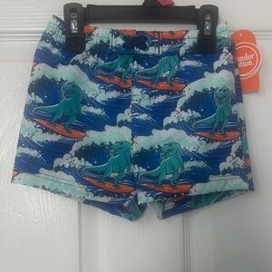 Wonder Nation Blue Dinosaur Swimming Trunks